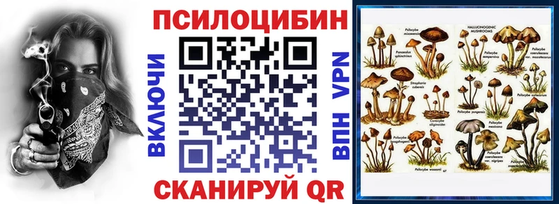 Галлюциногенные грибы Cubensis  наркота  Барнаул 